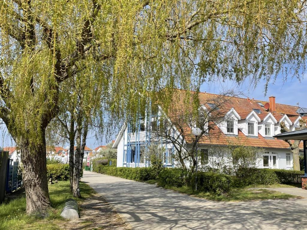 Fewo 27 Strandnahe Ferienwohnung Marlyn Rerik Exterior foto